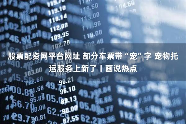股票配资网平台网址 部分车票带“宠”字 宠物托运服务上新了丨画说热点