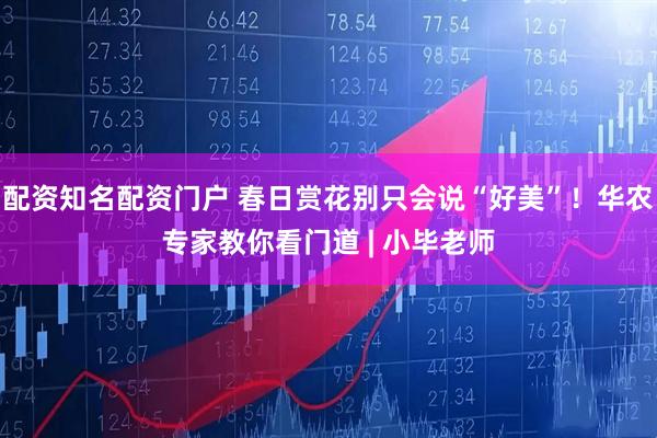 配资知名配资门户 春日赏花别只会说“好美”！华农专家教你看门道 | 小毕老师