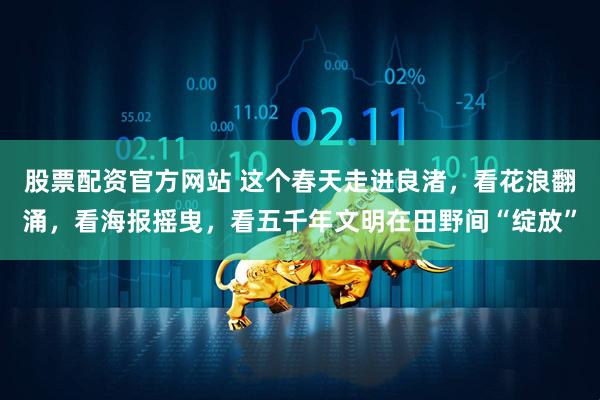 股票配资官方网站 这个春天走进良渚，看花浪翻涌，看海报摇曳，看五千年文明在田野间“绽放”